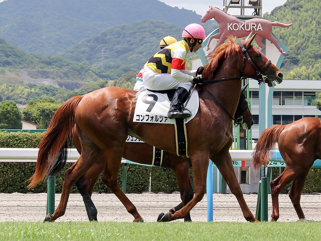 コンフォルツァ240720