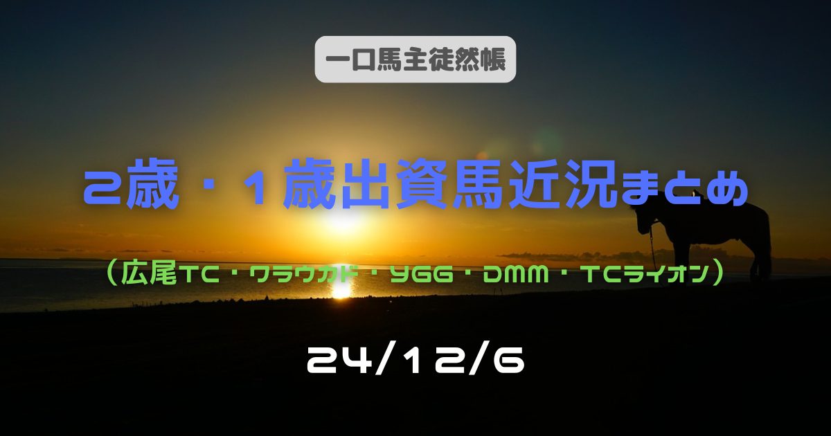 一口馬主徒然帳2歳1歳近況241206