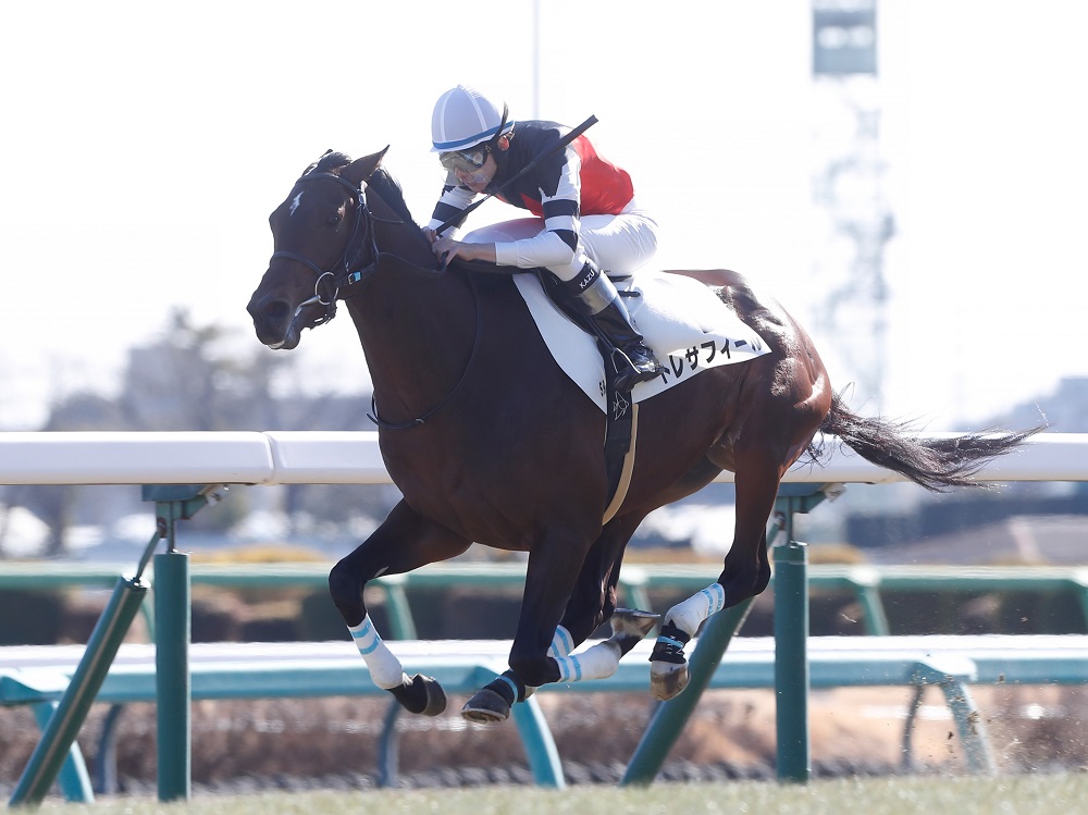 トレサフィール250108