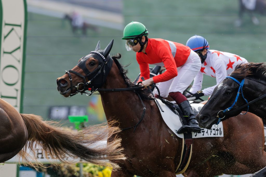 リーティアコナル250216