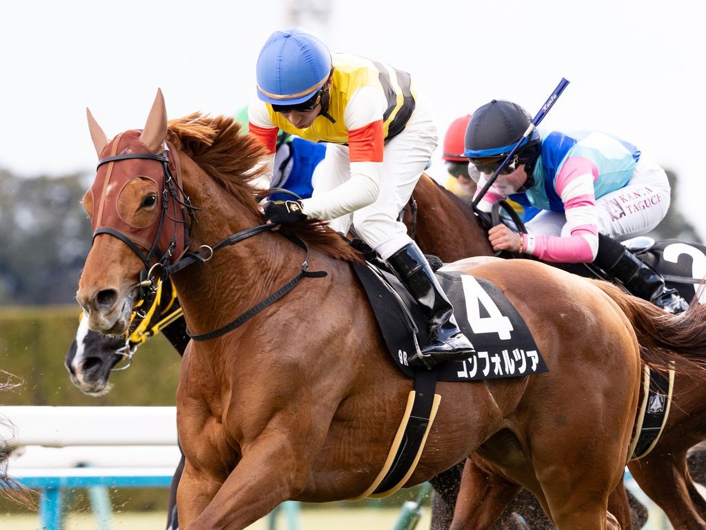 コンフォルツァ250222