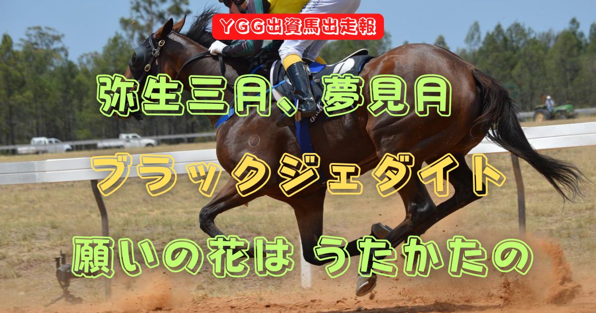 弥生三月、夢見月　ブラックジェダイト　願いの花は うたかたの