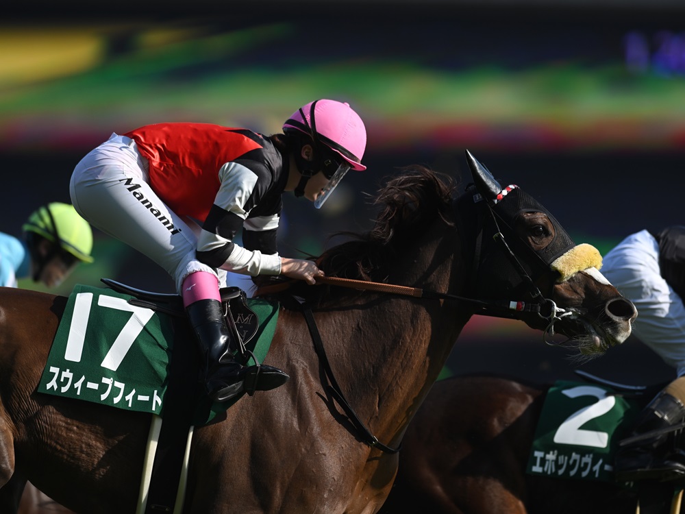 スウィープフィート250323