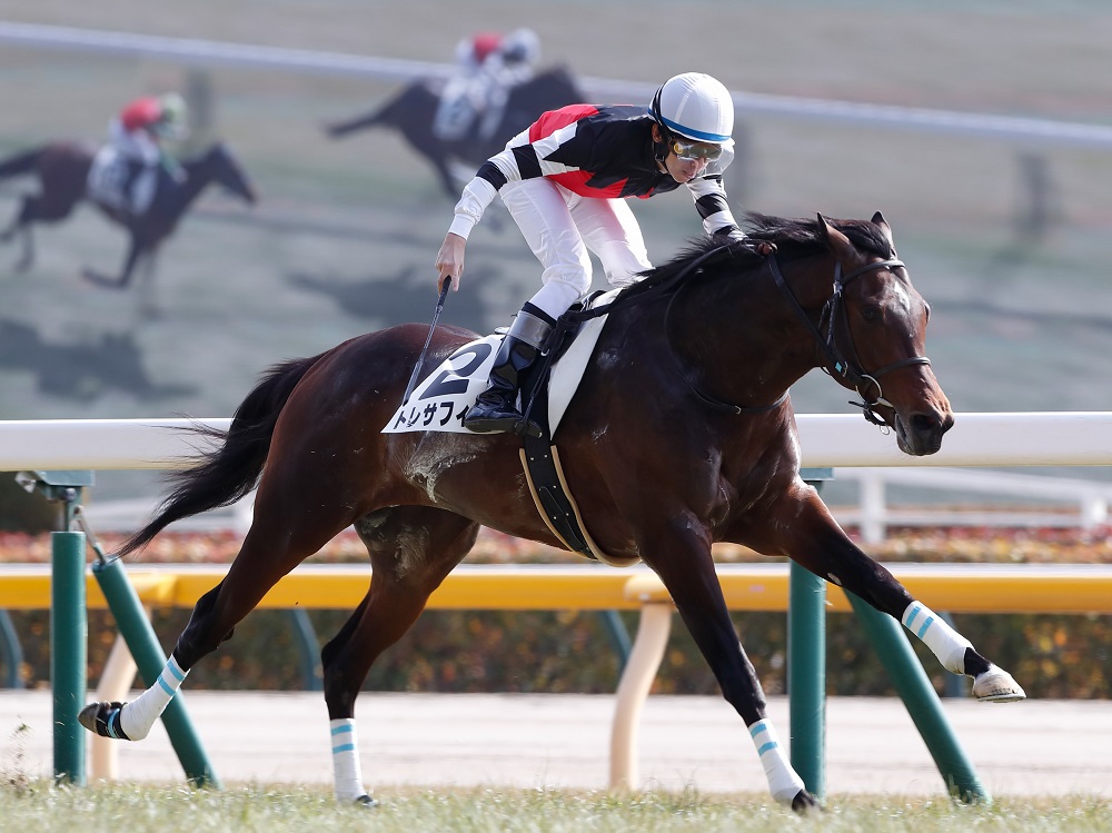 トレサフィール250216