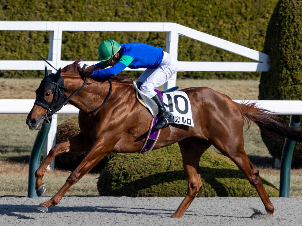 231228・ドンカルロ