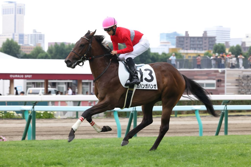 240727・カハンガハンガ