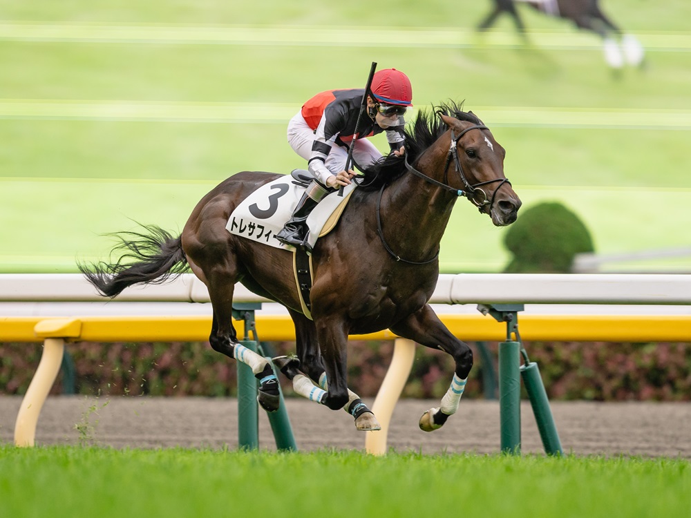 トレサフィール250510