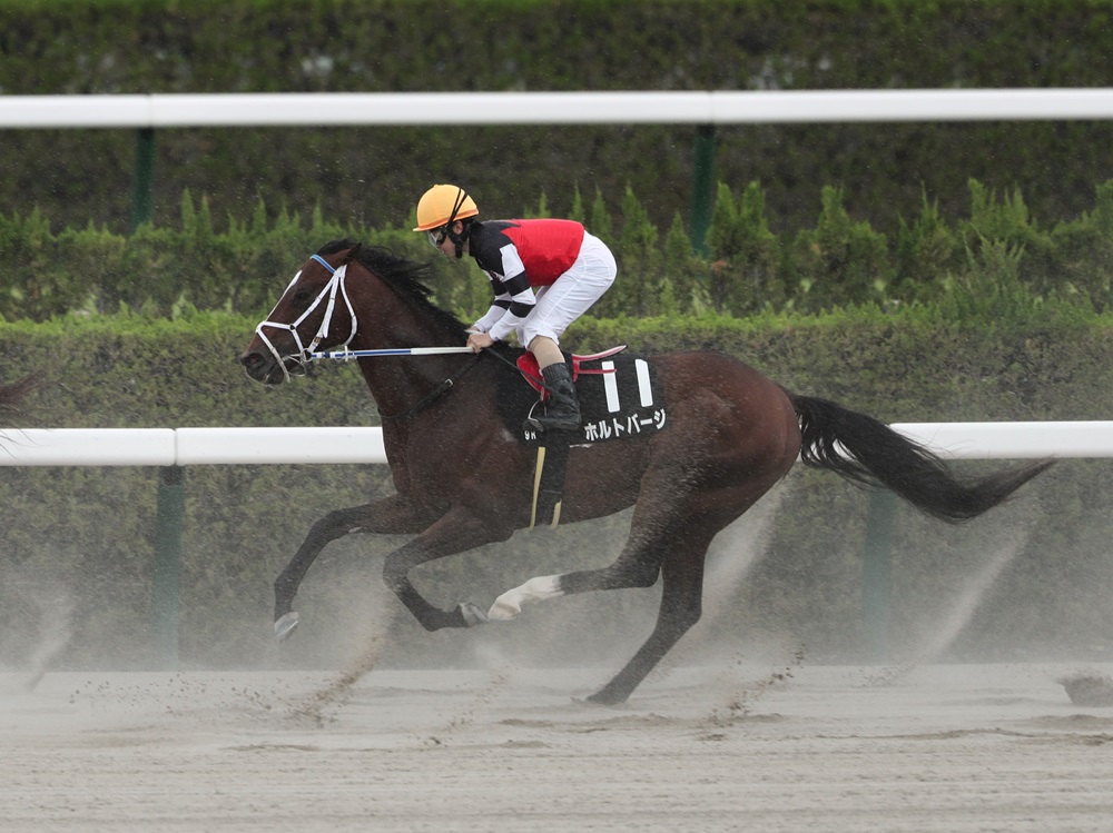 ホルトバージ250601