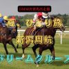 夏、ひとり旅　新潟周航ドリームクルーズ