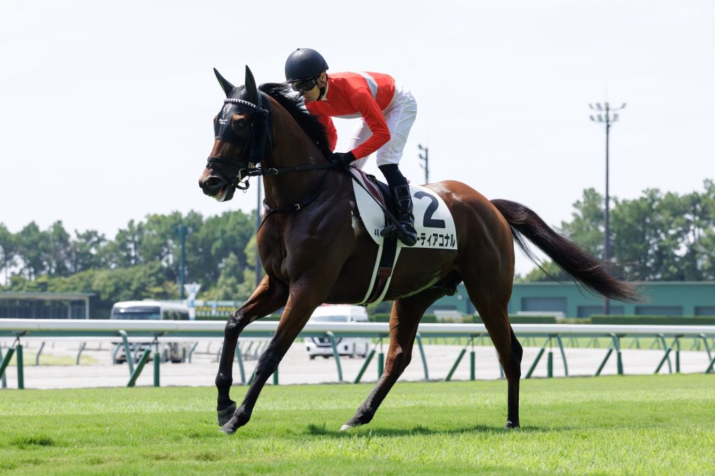 リーティアコナル250802