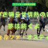 かき鳴らせ情熱の音　夢は続くよ　コンフォルツァ・オスティナータ