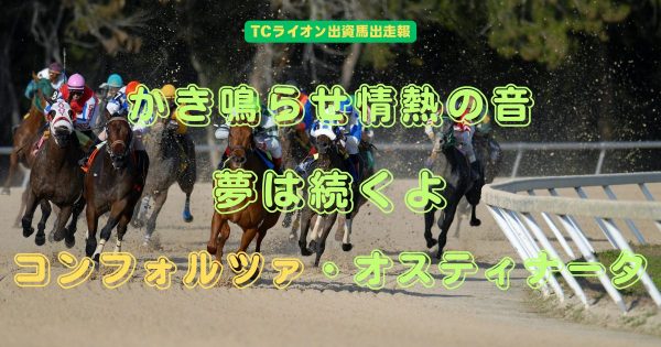 かき鳴らせ情熱の音　夢は続くよ　コンフォルツァ・オスティナータ