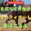 暗夜を照らす月光浴びて　ルナフィオーレ　蕾ほころぶ