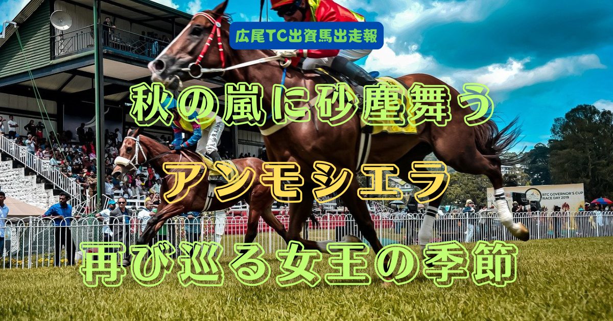 秋の嵐に砂塵舞う　アンモシエラ　再び巡る女王の季節