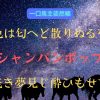 色は匂へど散りぬるを　シャンパンポップ　浅き夢見じ酔ひもせず