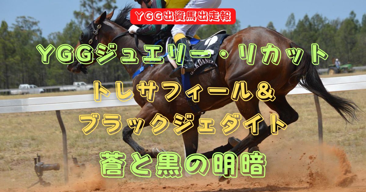 YGGジュエリー・リカット　トレサフィール＆ブラックジェダイト　蒼と黒の明暗