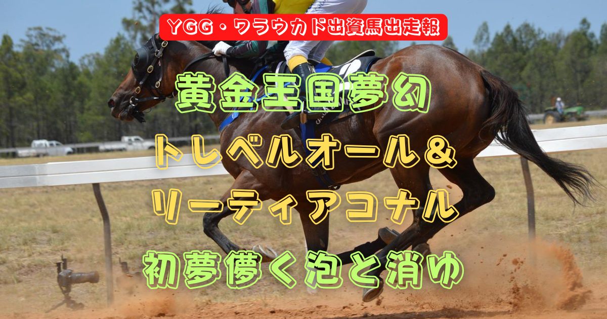 黄金王国夢幻　トレベルオール＆リーティアコナル　初夢儚く泡と消ゆ（YGG・ワラウカド出資馬出走報）