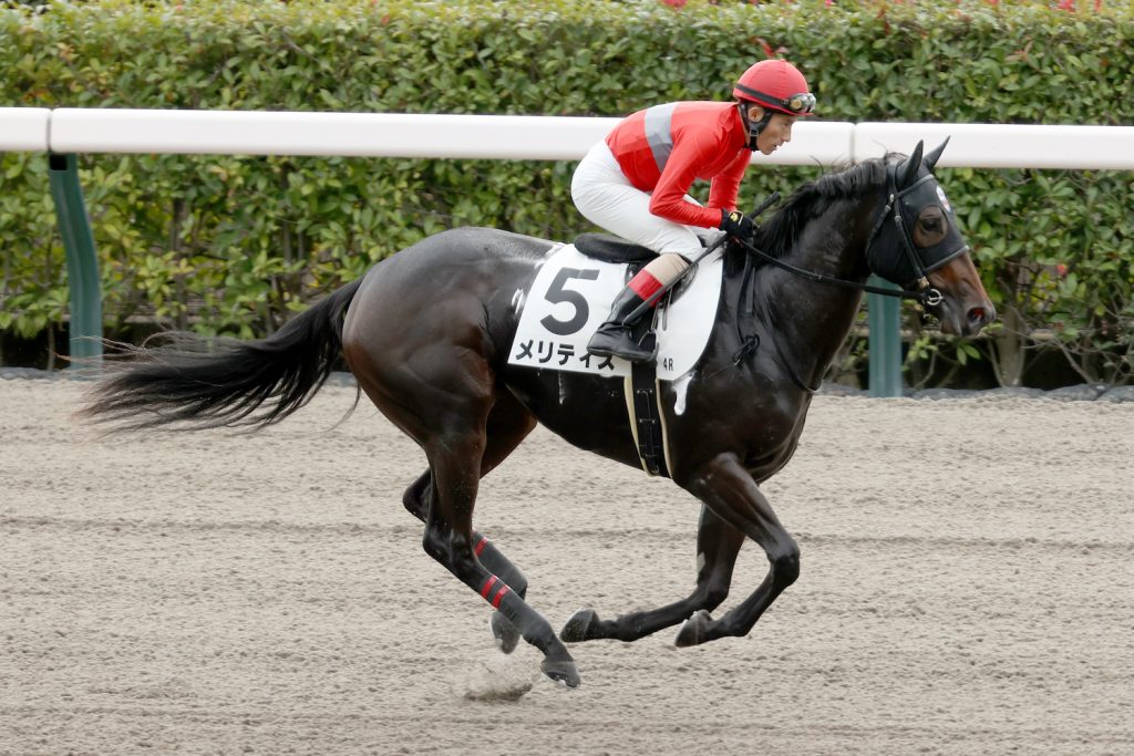 メリティス251101