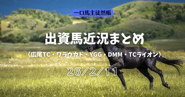 一口馬主徒然帳近況260211