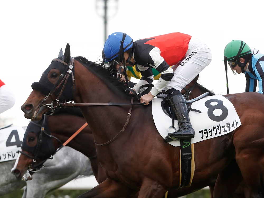 ブラックジェダイト260307