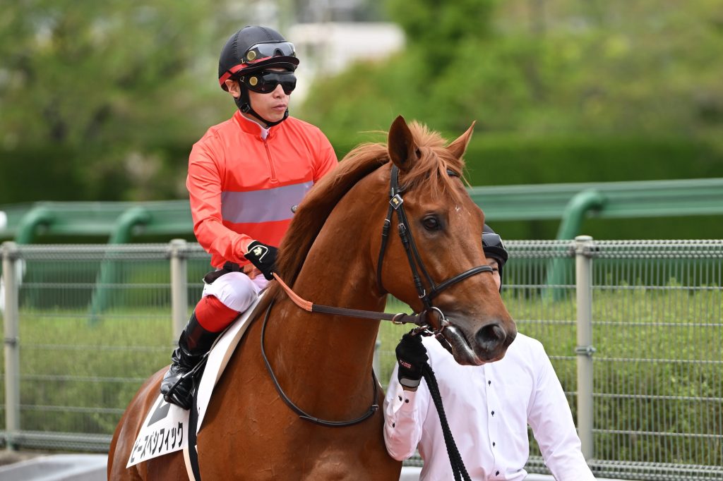 ビースペシフィック260419