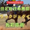 欠けど砕けぬ黒翡翠　ブラックジェダイト　光彩陸離
