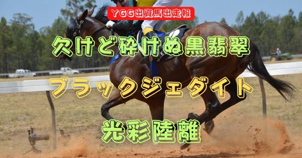 欠けど砕けぬ黒翡翠　ブラックジェダイト　光彩陸離
