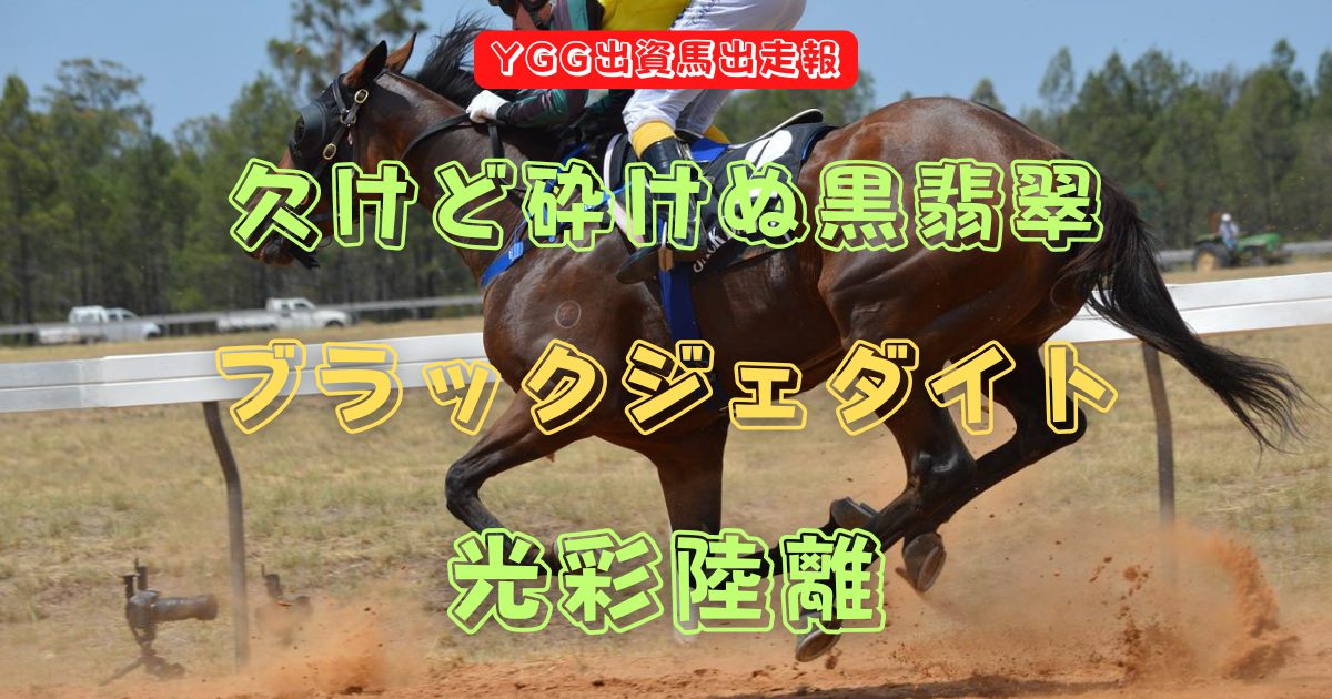 欠けど砕けぬ黒翡翠　ブラックジェダイト　光彩陸離